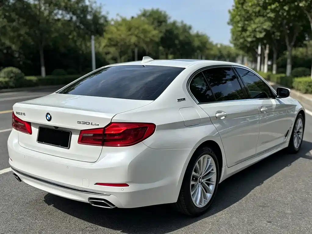 BMW 5 Series New Energy — миниатюра 6