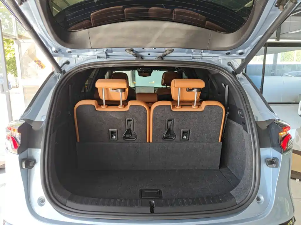 BYD Tang New Energy — миниатюра 19
