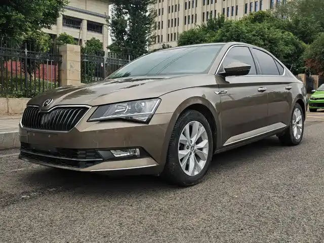 SKODA SPEED PIE 2018