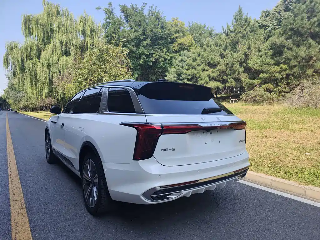 Hongqi Hongqi E-HS9 — миниатюра 6