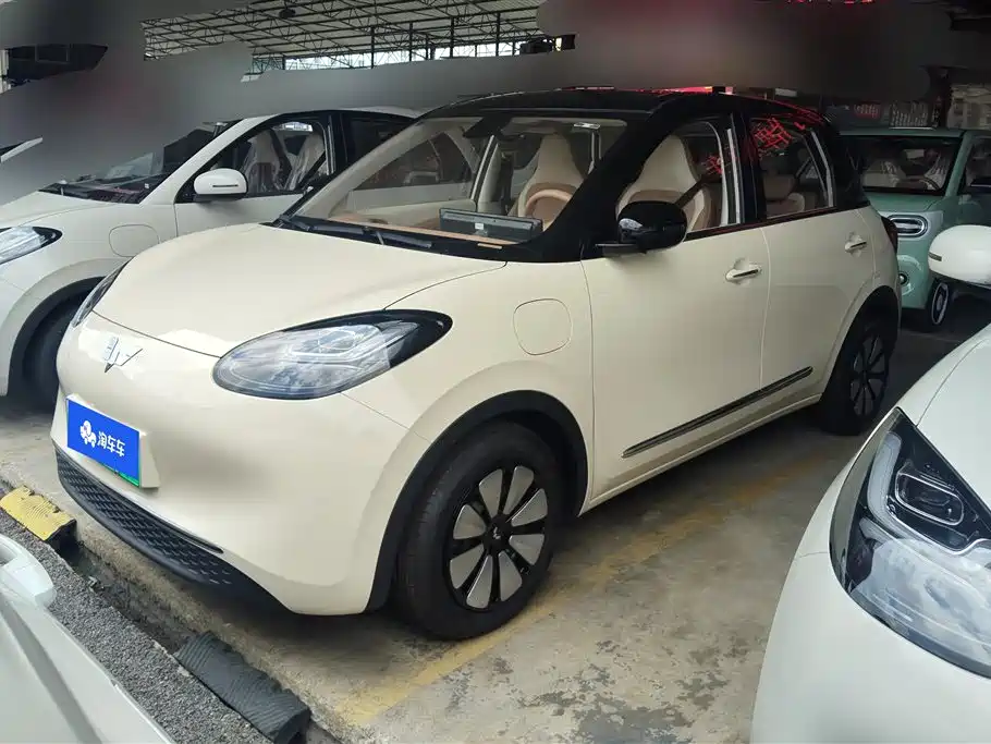 Wuling Binguo 2025 333km Enjoy
