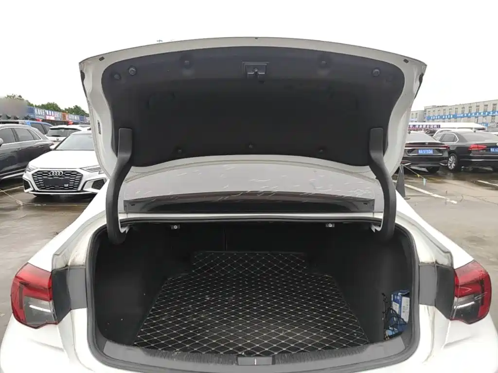 Buick Regal — миниатюра 19