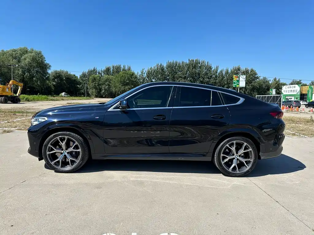 BMW X6 — миниатюра 7
