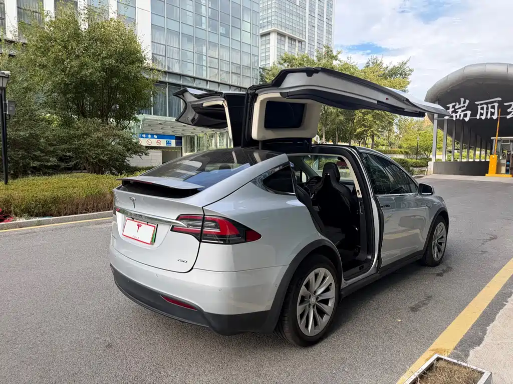 Tesla Model X — миниатюра 6