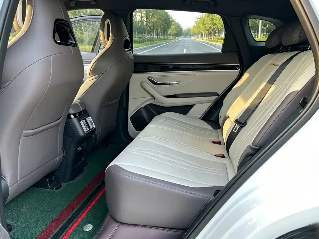 BYD PLUS New Energy — миниатюра 9