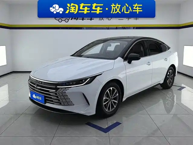 2024 BYD Destroyer