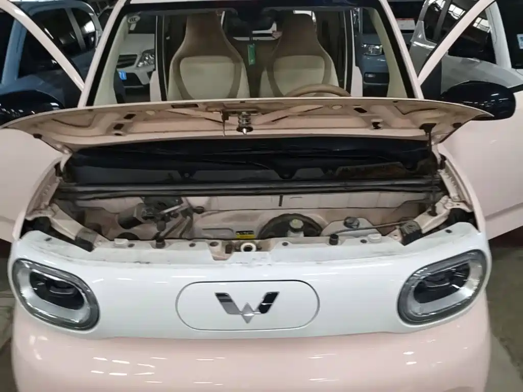 Wuling MINIEV — миниатюра 20