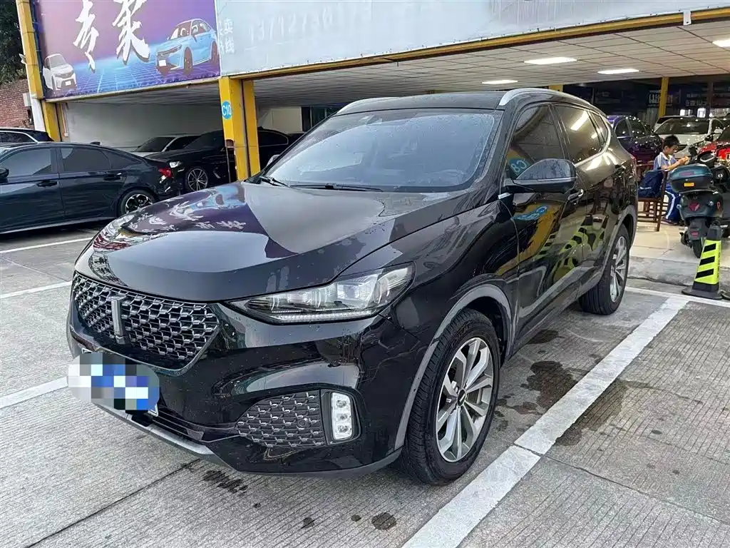 Купить Wey Wey VV6