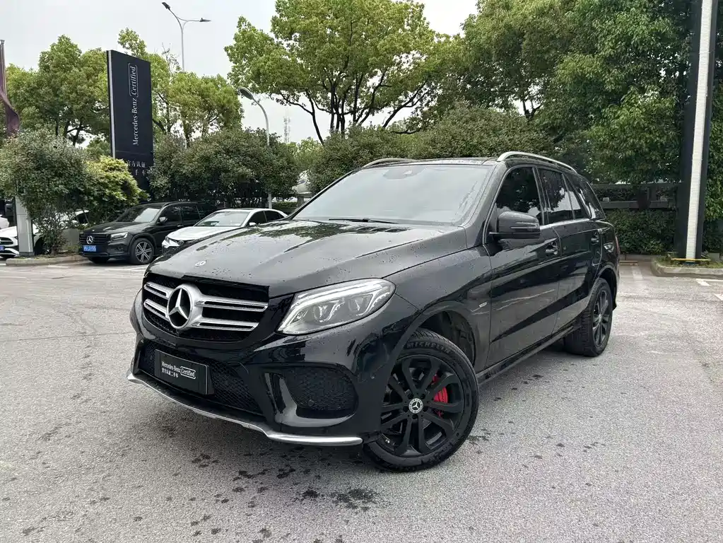 Mercedes-Benz 奔驰GLE(进口) 2019