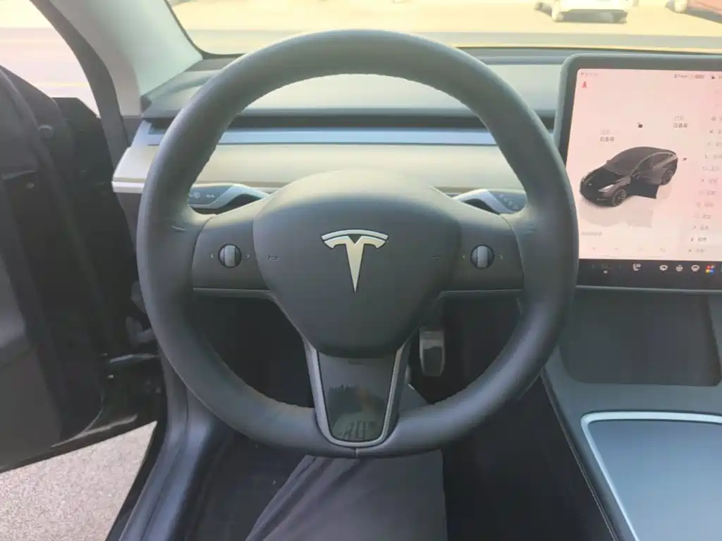 Tesla Model Y — миниатюра 11