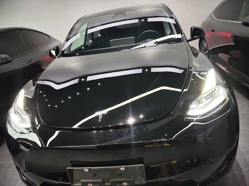 Tesla Model Y — миниатюра 3