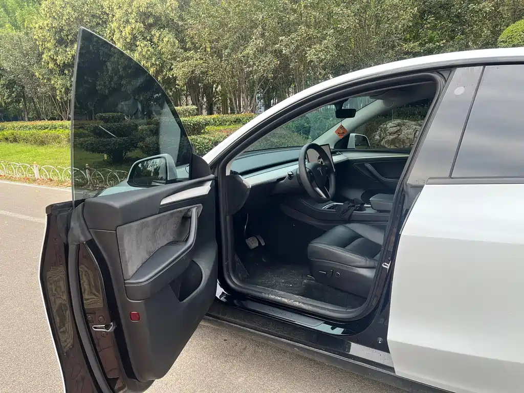 Tesla Model Y — миниатюра 4