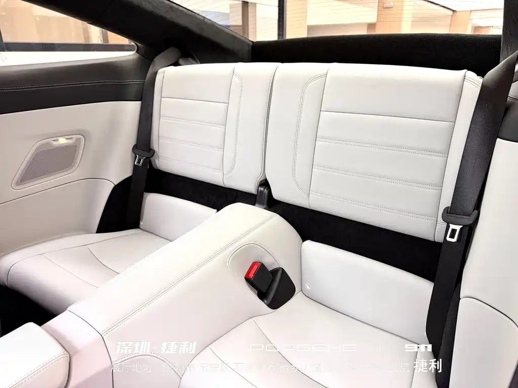 Porsche 911 — миниатюра 15