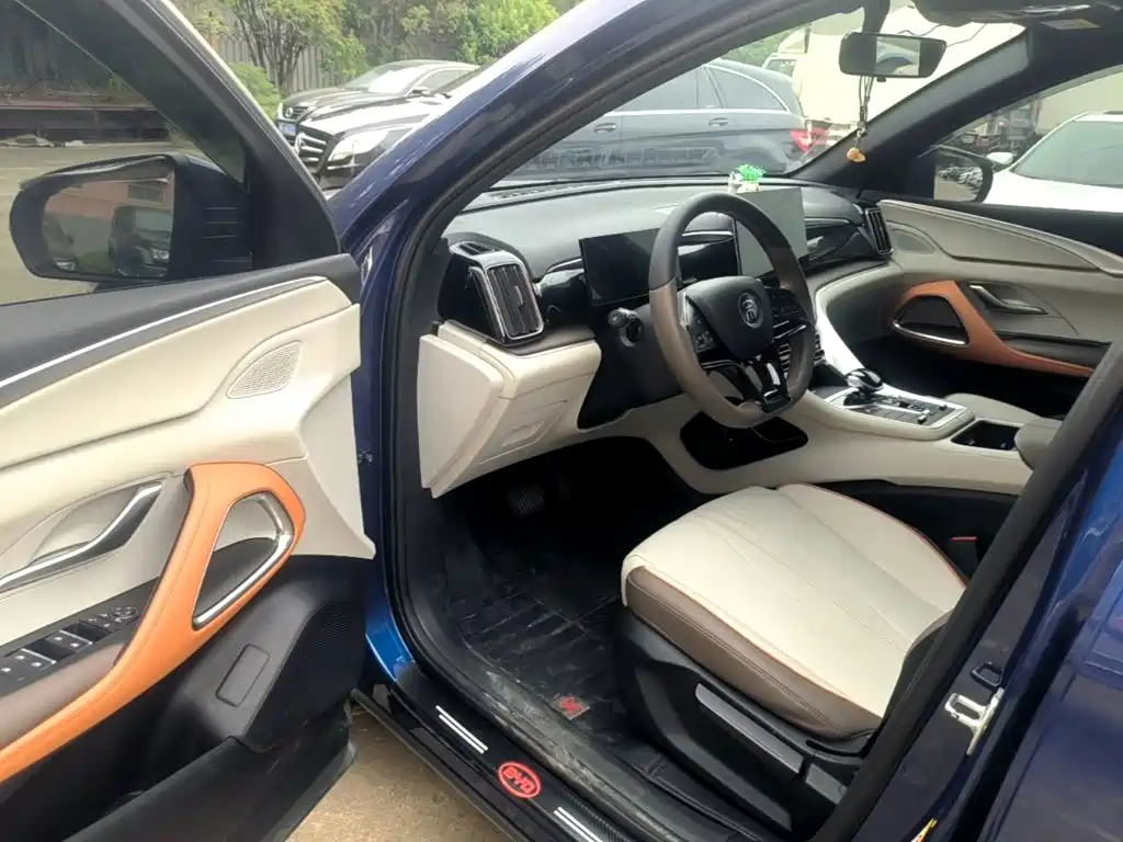 BYD Pro New Energy — миниатюра 16