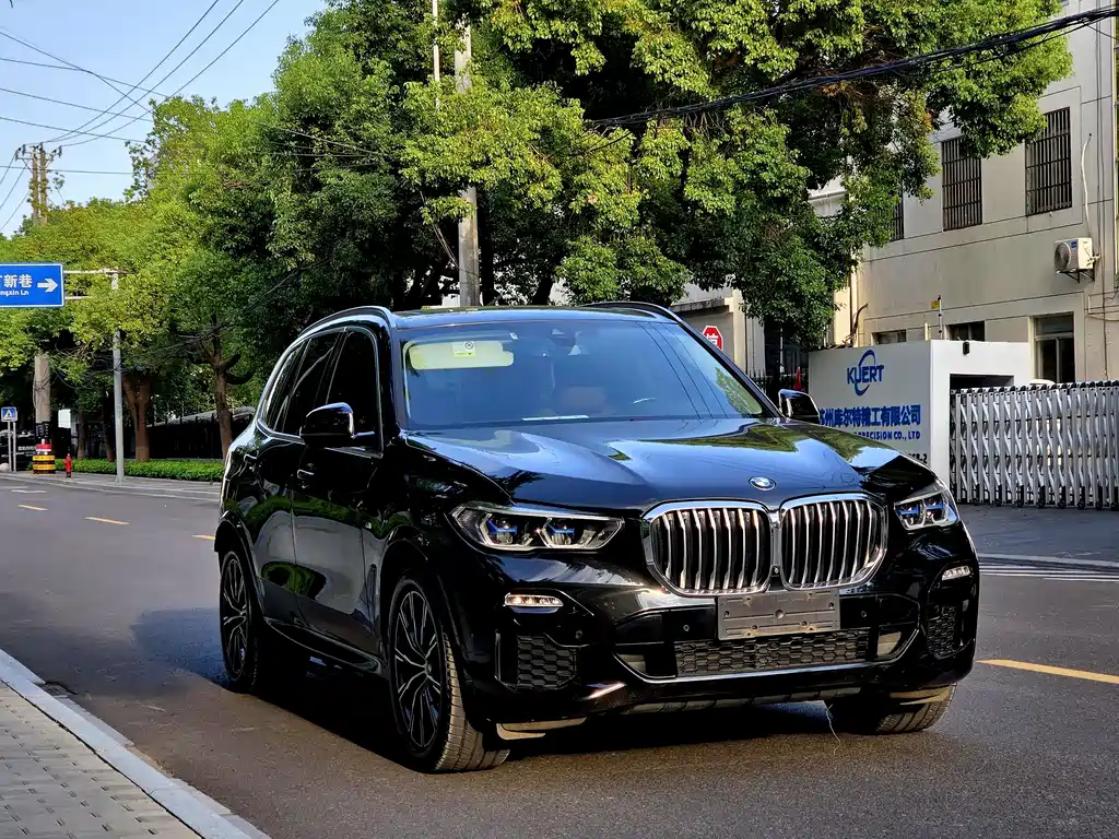 BMW X5 (Import) — миниатюра 3