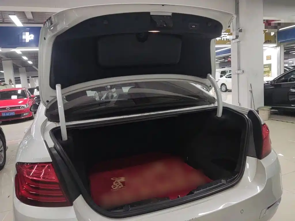 BMW 5 Series (Import) — миниатюра 19