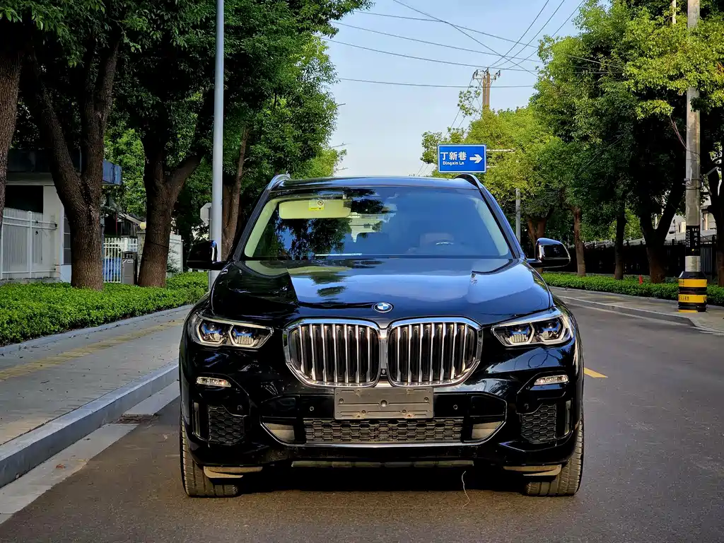 BMW X5 (Import) — миниатюра 2
