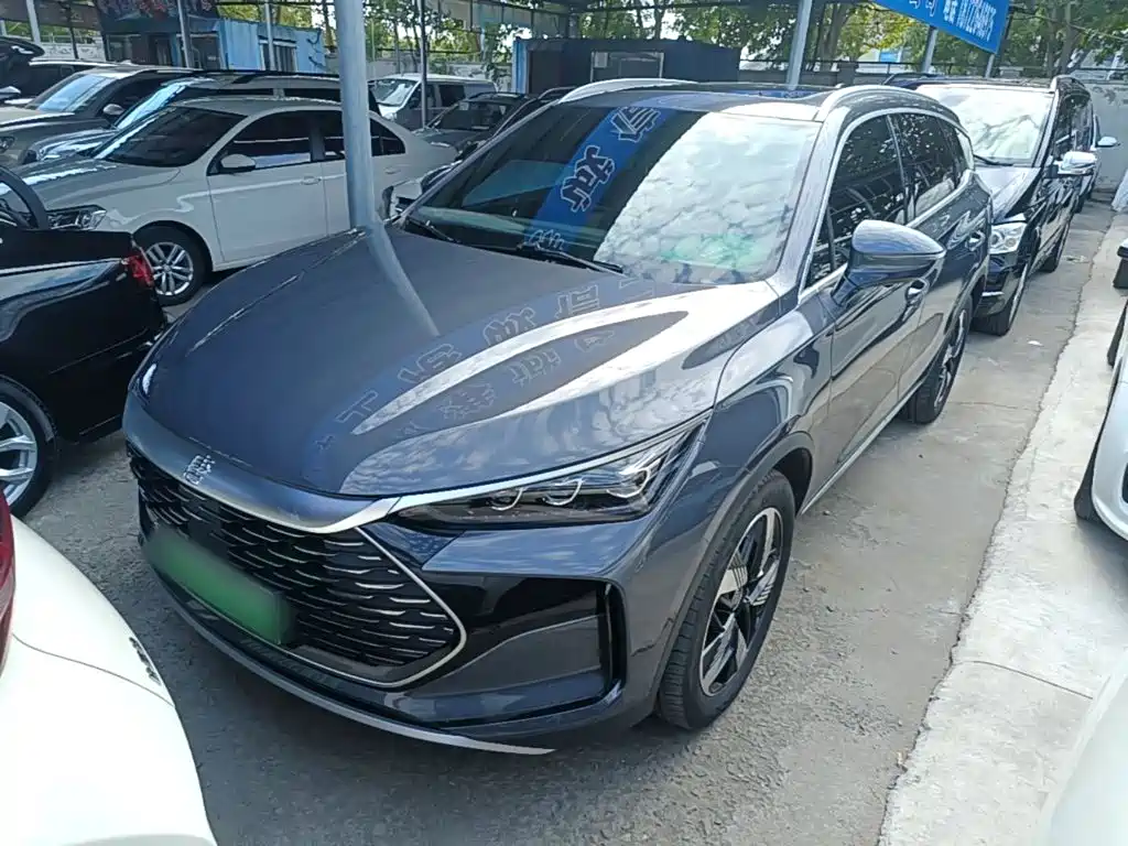 BYD Tang New Energy — миниатюра 2