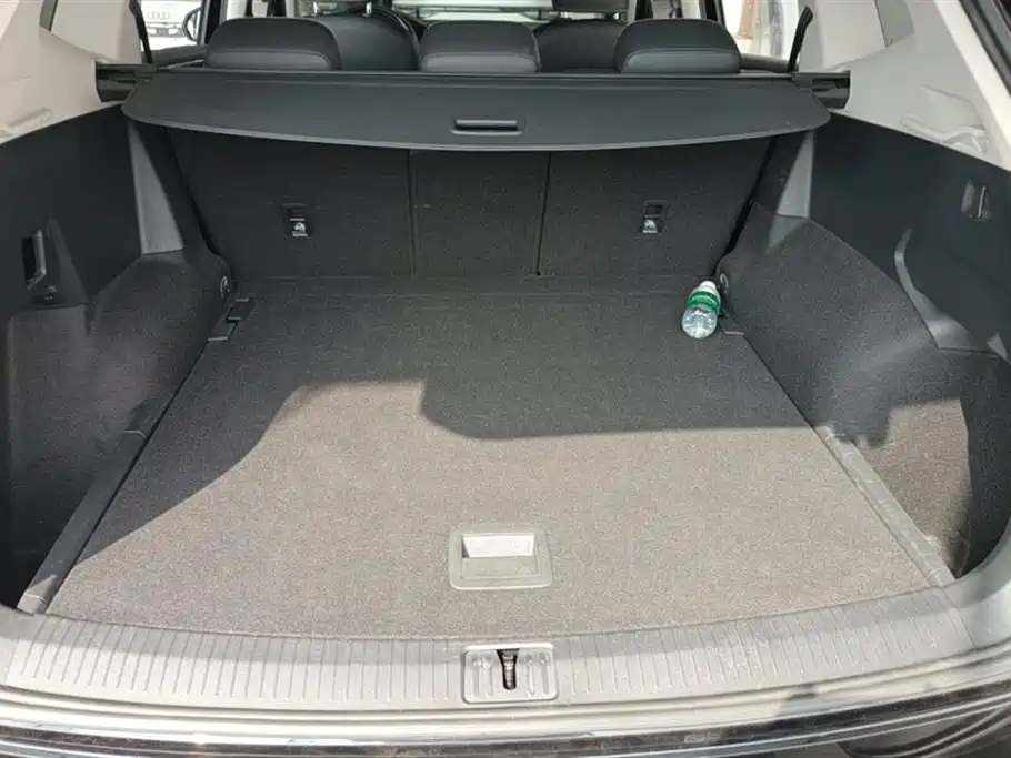 VOLKSWAGEN TIGUAN L NEW ENERGY