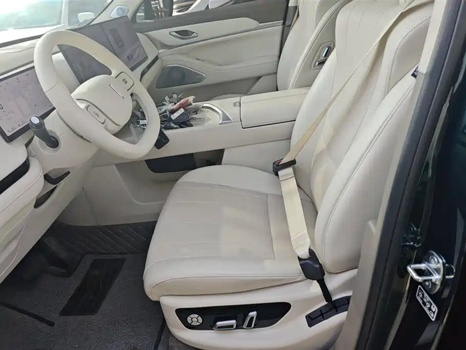 WEI PAI WEI BRAND BLUE MOUNTAIN