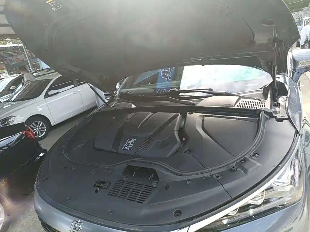 BYD Tang New Energy — миниатюра 20