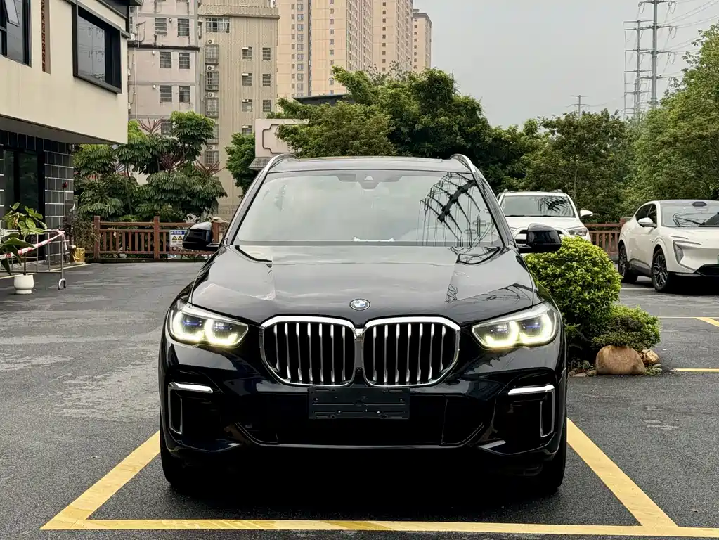BMW X5 — миниатюра 3