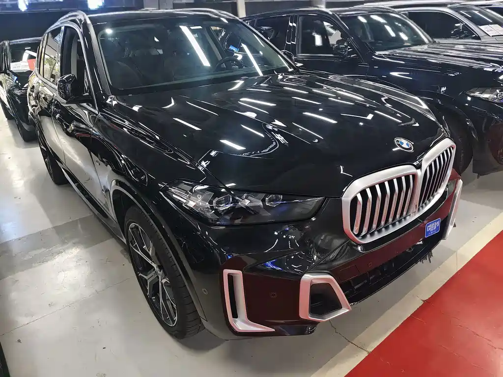 BMW X5 — миниатюра 2