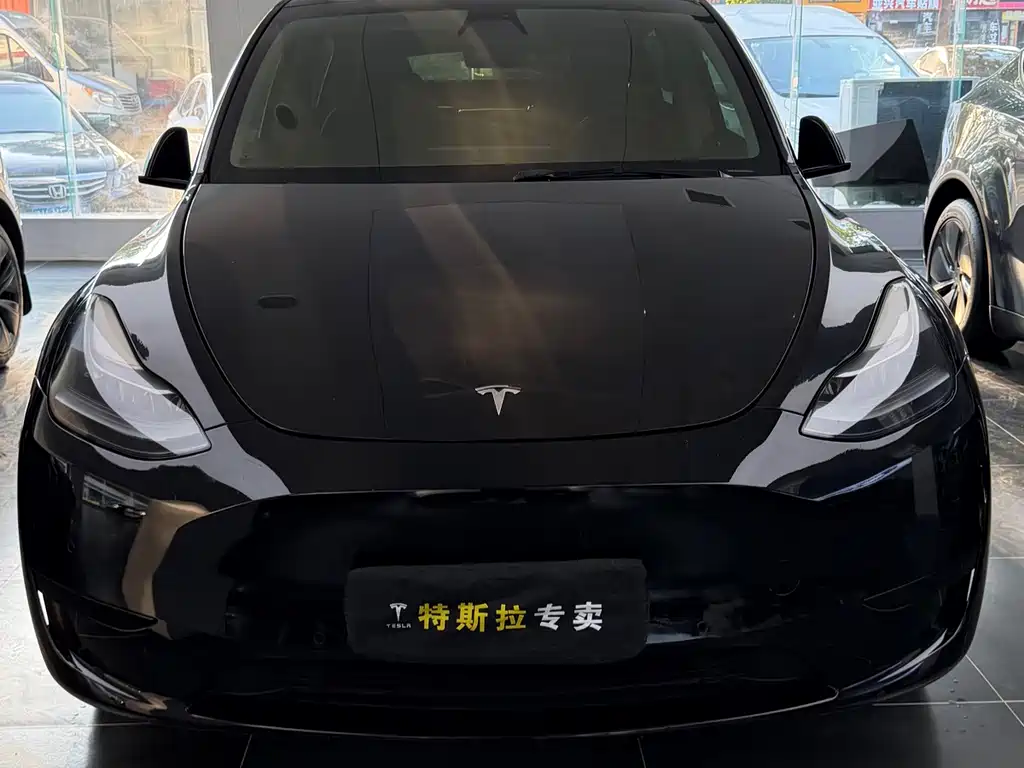 Tesla Model Y — миниатюра 2