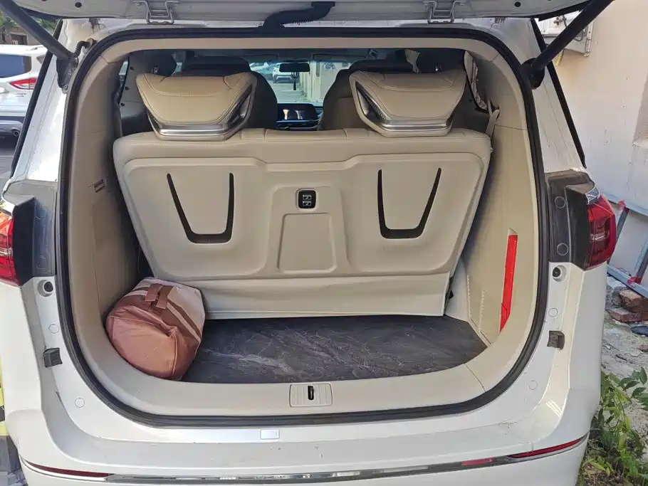 Buick GL8 — миниатюра 4