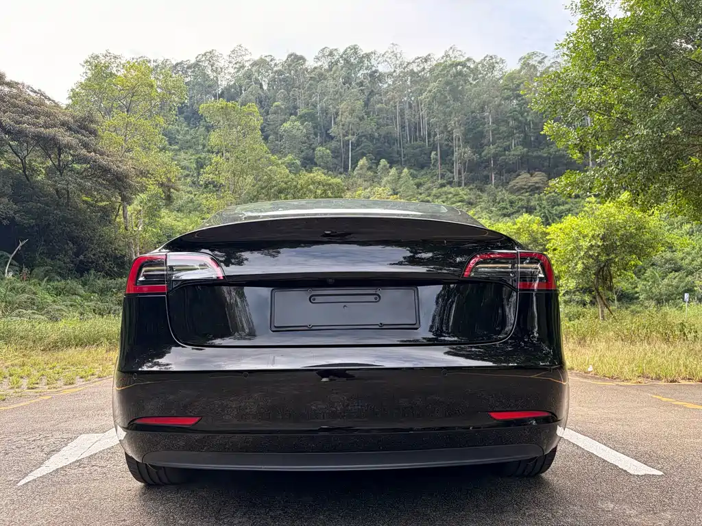 Tesla Model 3 — миниатюра 8