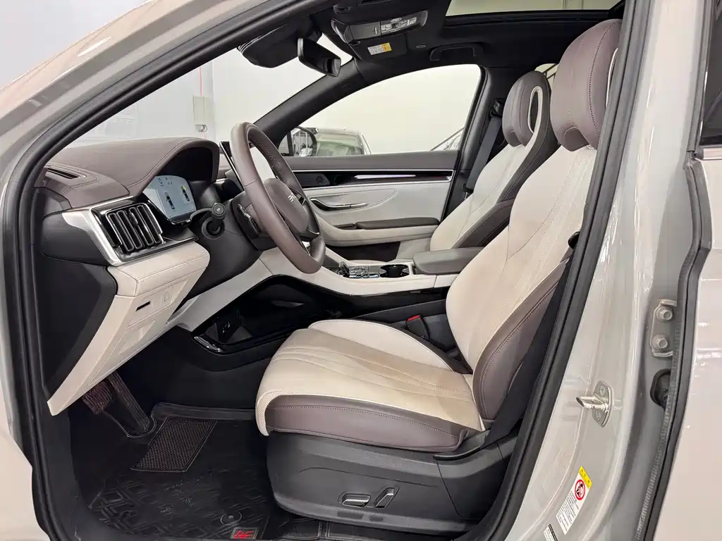 BYD SONGJIANG NEW ENERGY