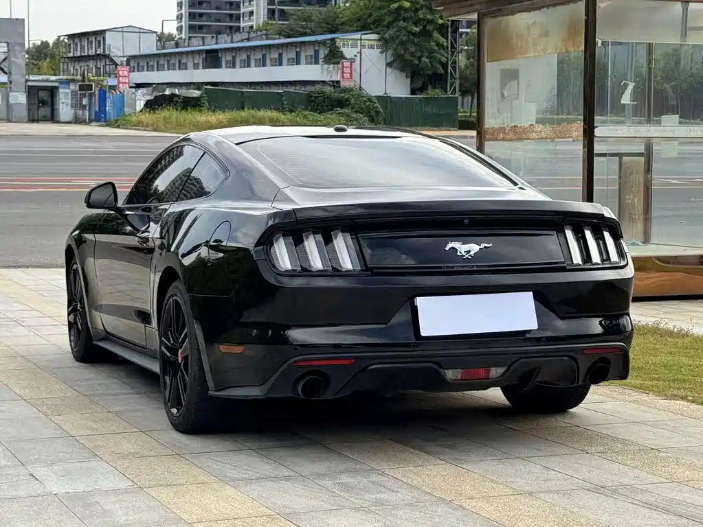Ford Mustang — миниатюра 8