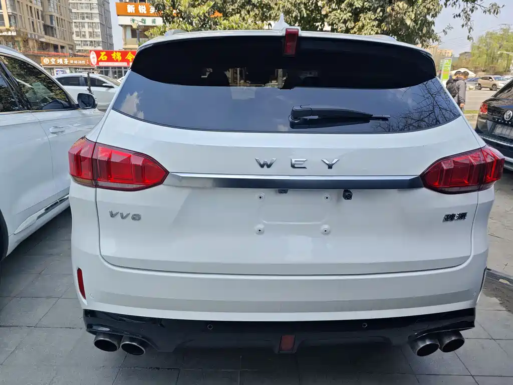 WEI PAI WEI BRAND VV6