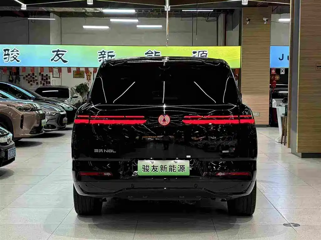 Denza Zoom N8L — миниатюра 13