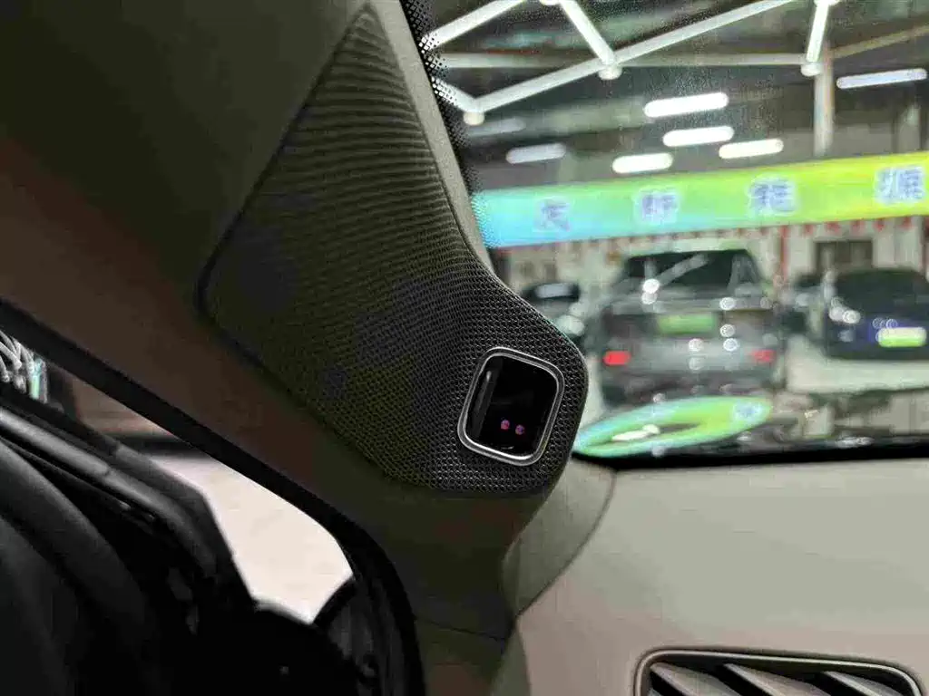 Denza Zoom N8L — миниатюра 33