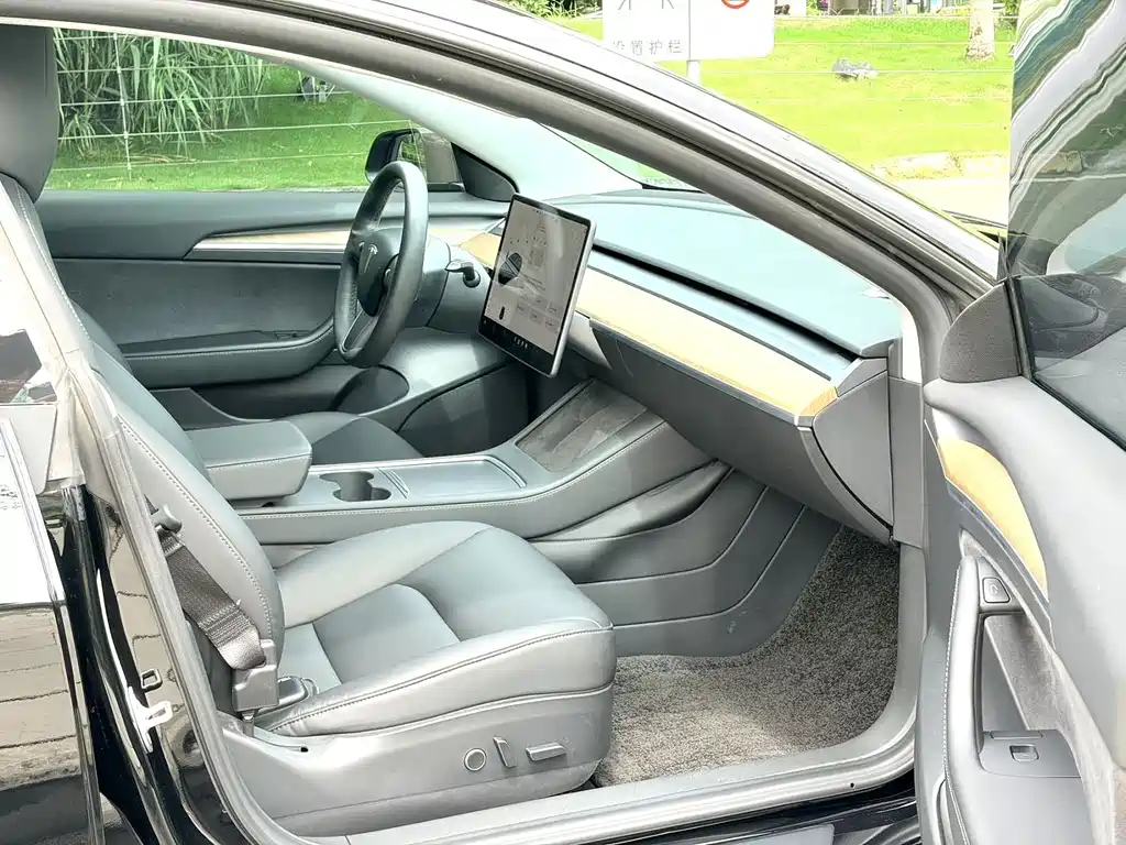 Tesla Model 3 — миниатюра 8