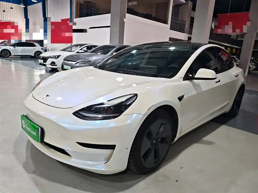Tesla Model 3 2021