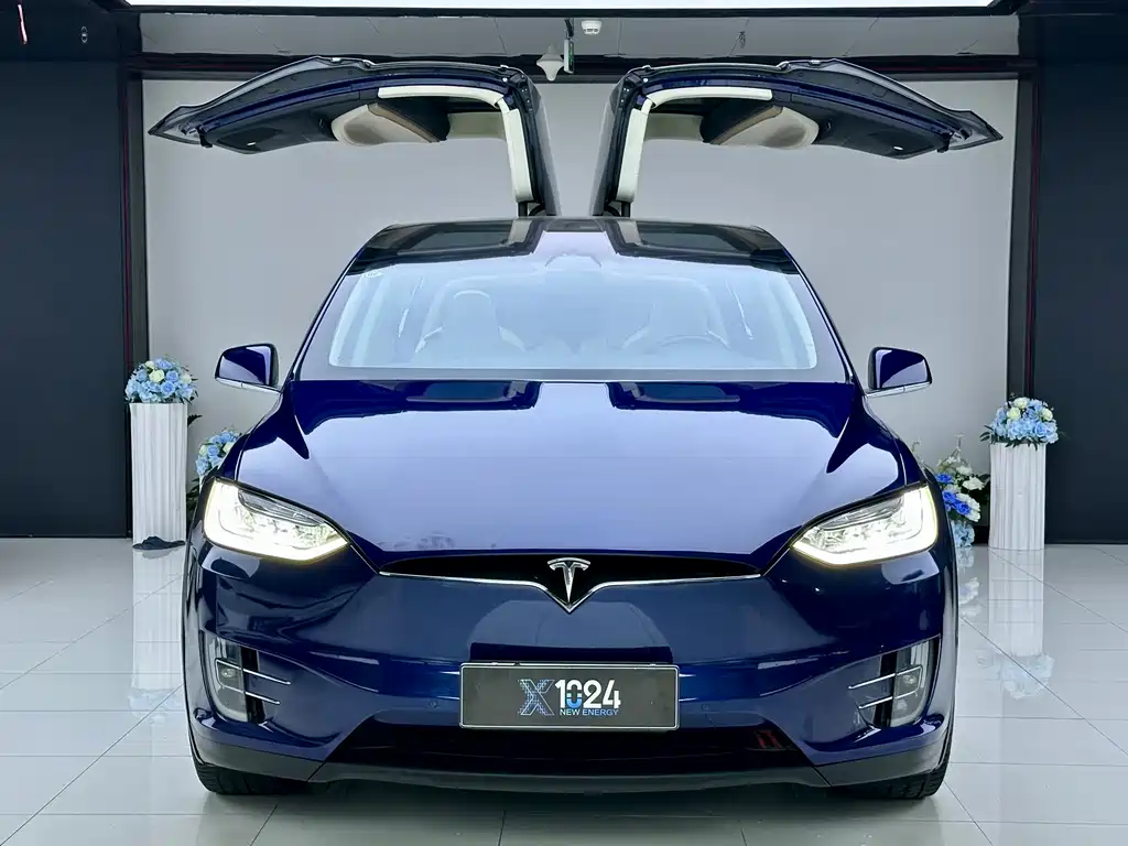 Tesla Model X — миниатюра 2