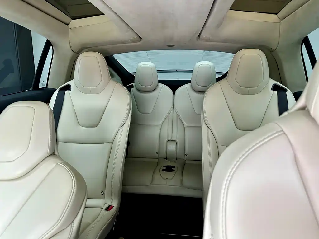 Tesla Model X — миниатюра 18