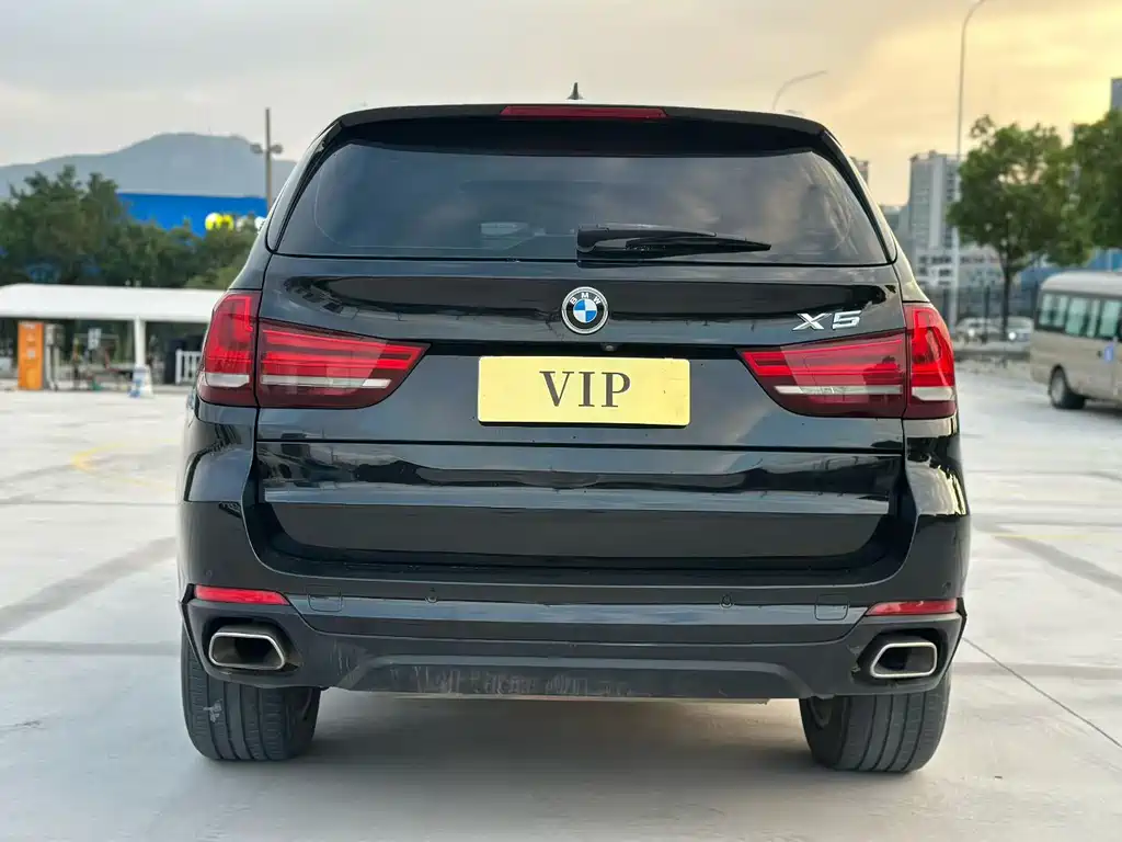 BMW X5 (Import) — миниатюра 8