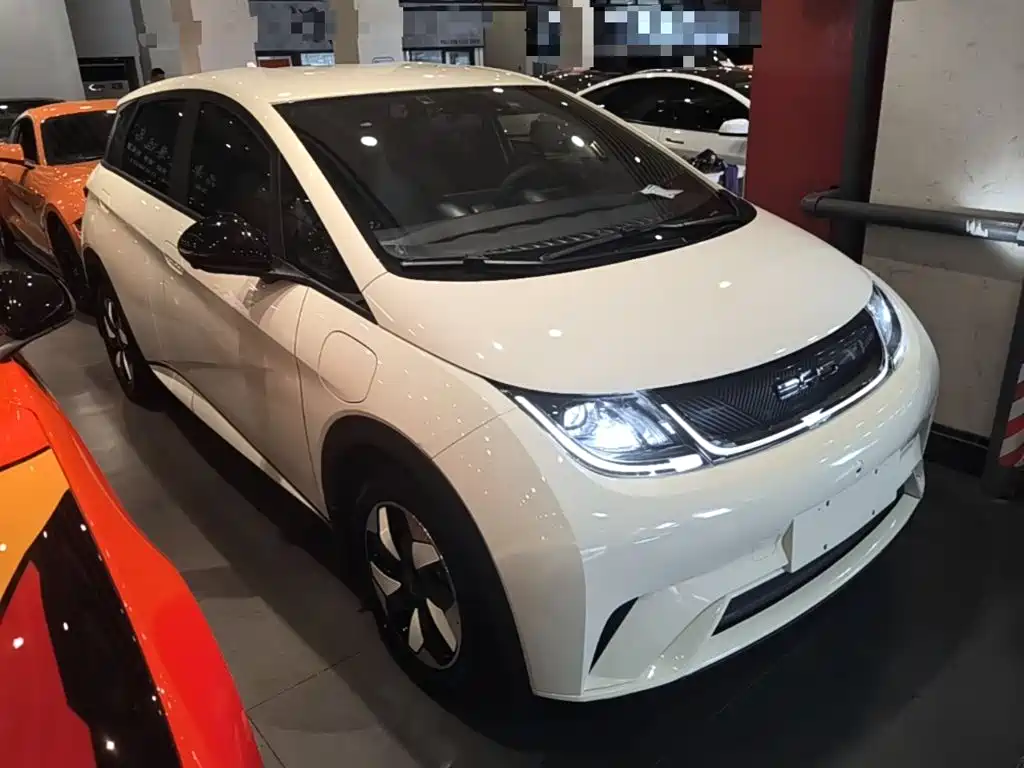 BYD Dolphin 2025 420km Freedom