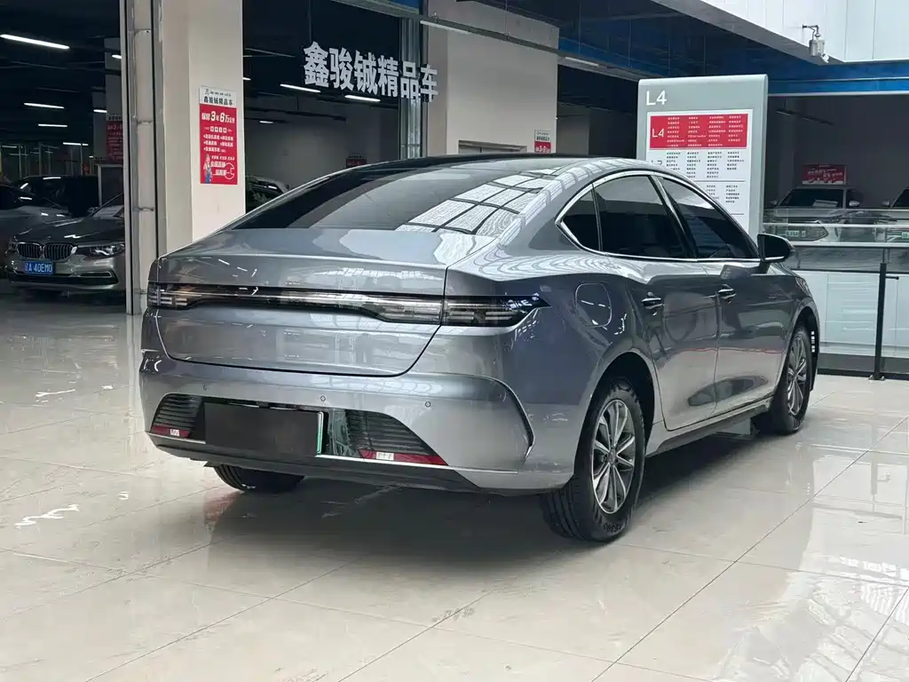 BYD Destroyer 05 2024 DM-i 55KM Luxury