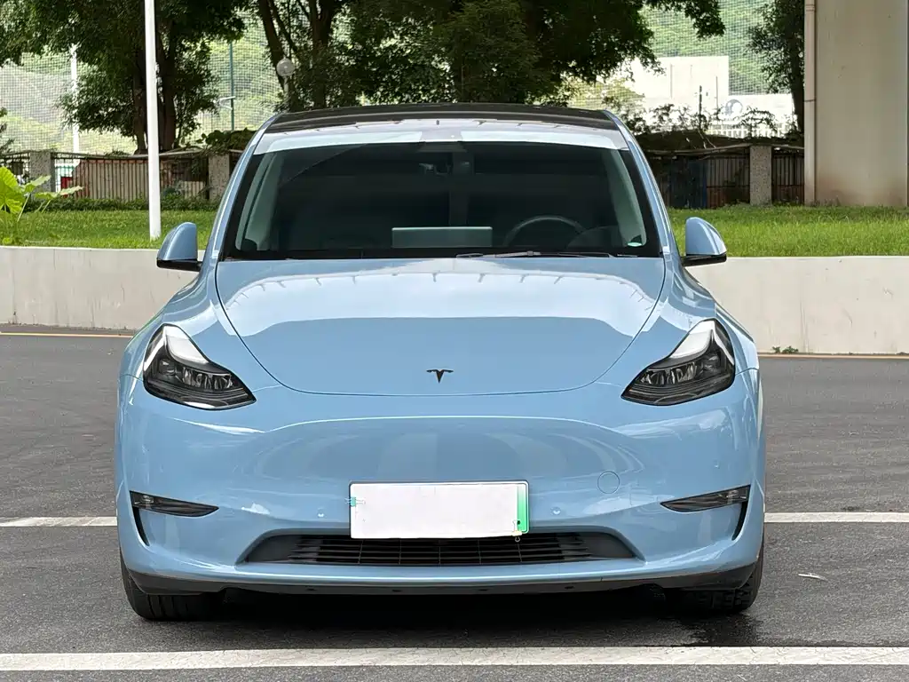 Tesla Model Y — миниатюра 2