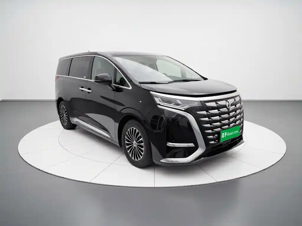 Denza Denza D9 — миниатюра 3