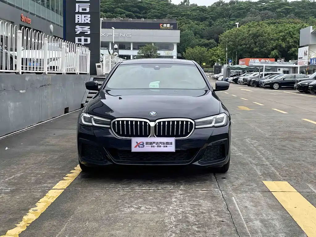 BMW 5 Series — миниатюра 2