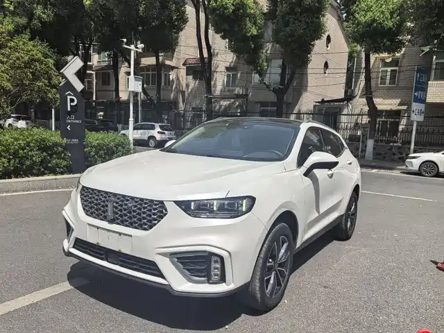 WEI PAI WEI BRAND VV5 2020