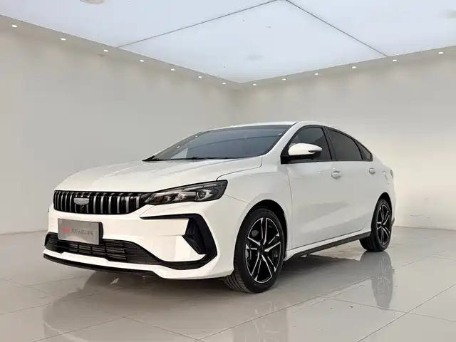 2024 Geely Binrui