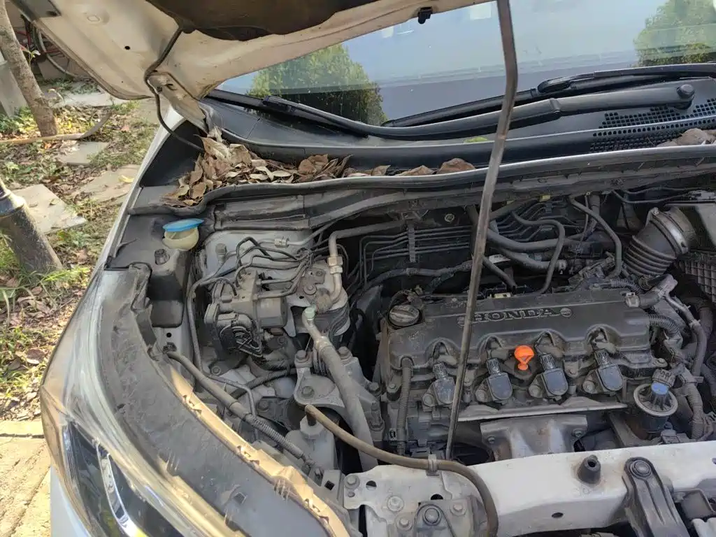 Honda CR-V — миниатюра 19