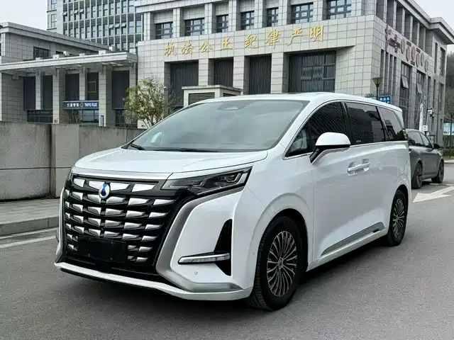 2023 Denza D9