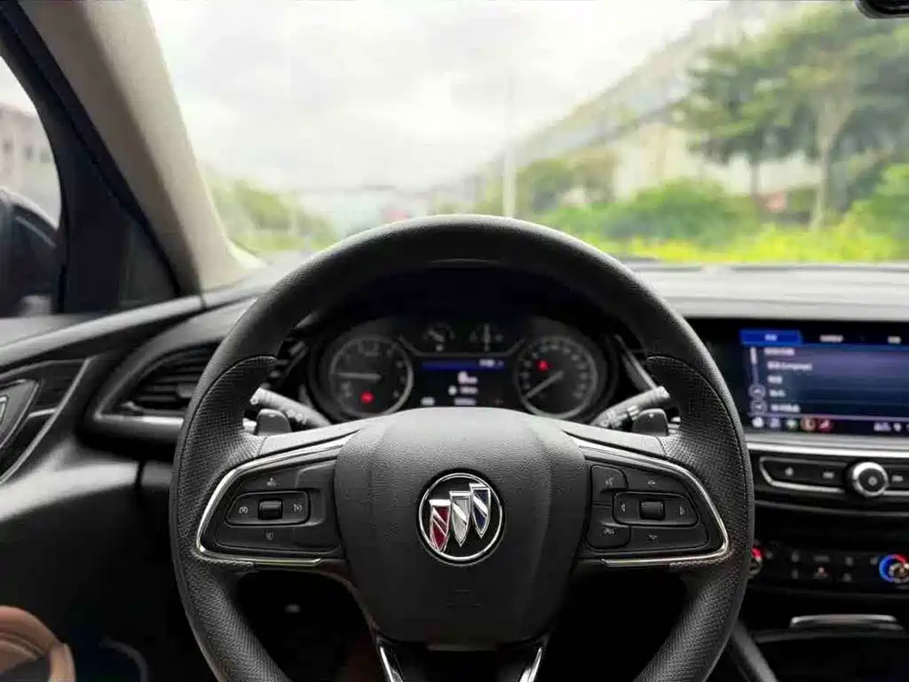 Buick Regal — миниатюра 8